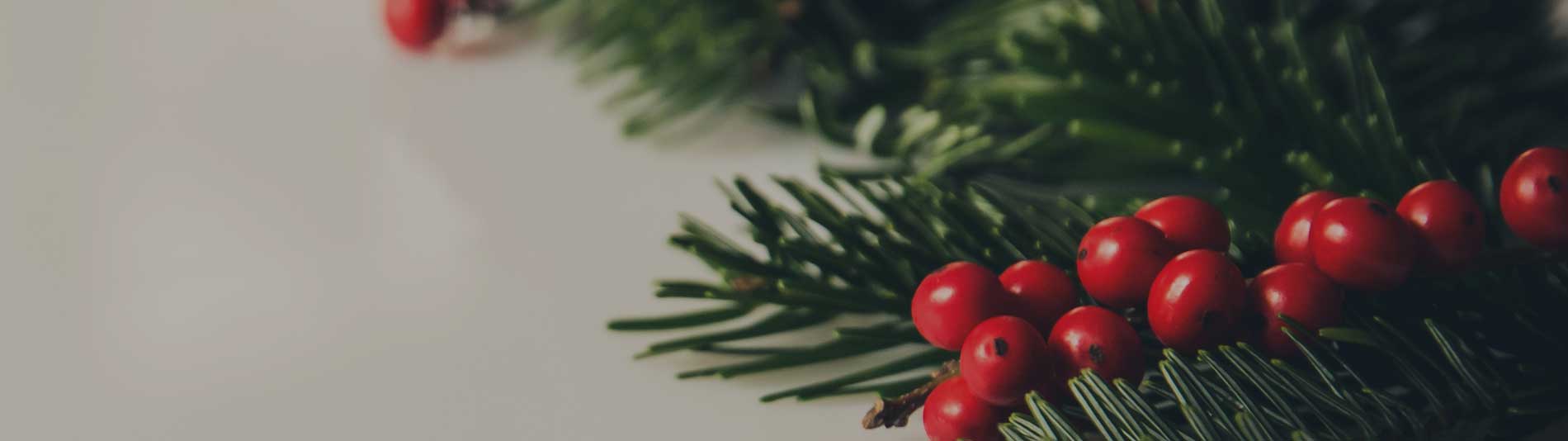 Auto Repair, Algonquin IL Mastertek Auto Repair