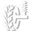 service-icon